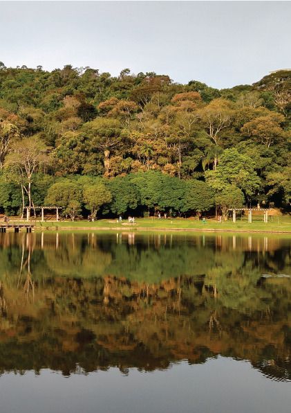 Jardim Botânico da UFJF - Rua Cel.Almeida Novais, 246 Santa Terezinha.